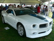 2010 Firebird